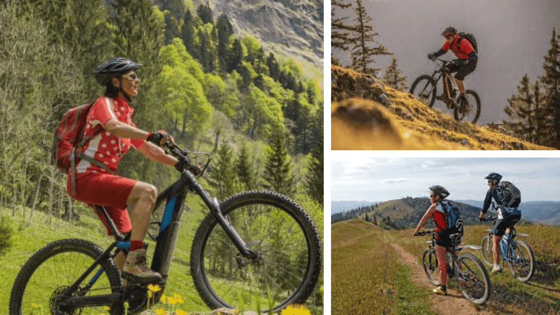 Гірський велосипедист на мальовничій стежці в Карпатах